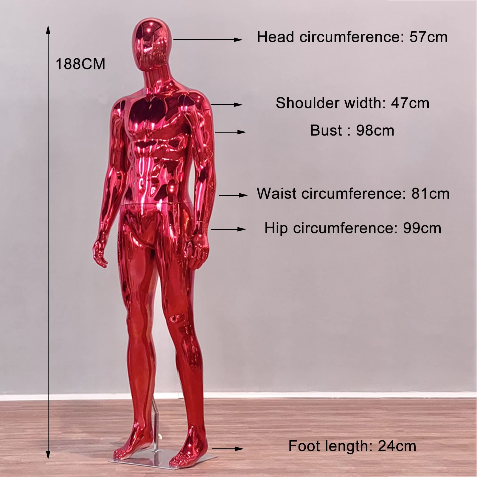 Amazon.co.jp: 男性用マネキン - モデルディスプレイ トルソー 金属